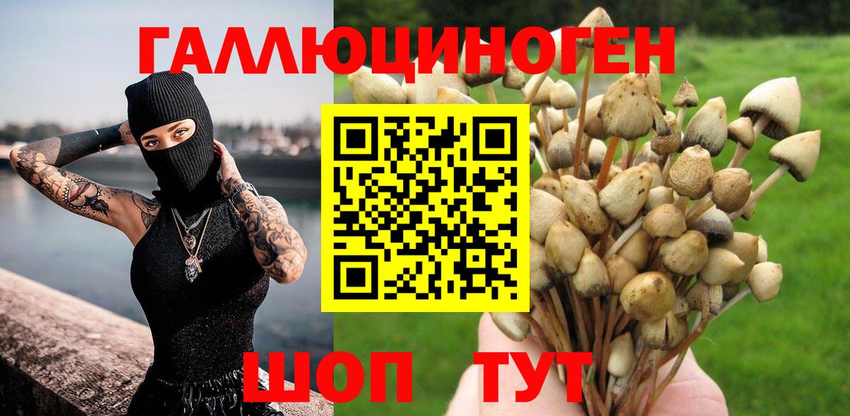 Псилоцибиновые грибы MAGIC MUSHROOMS Чапаевск